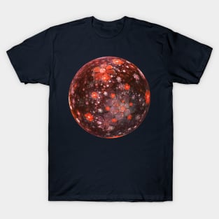 Planet of flowers T-Shirt